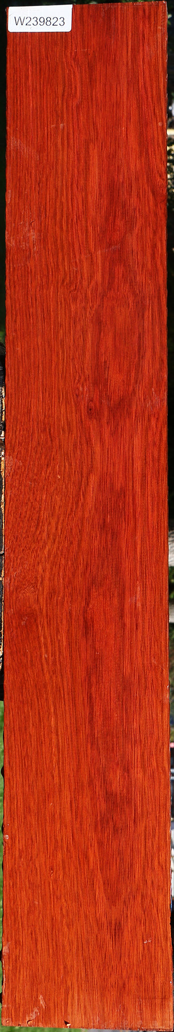Bloodwood Lumber