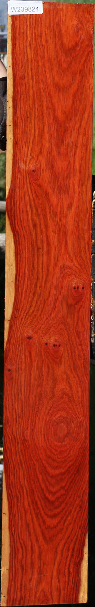Figured Bloodwood Lumber