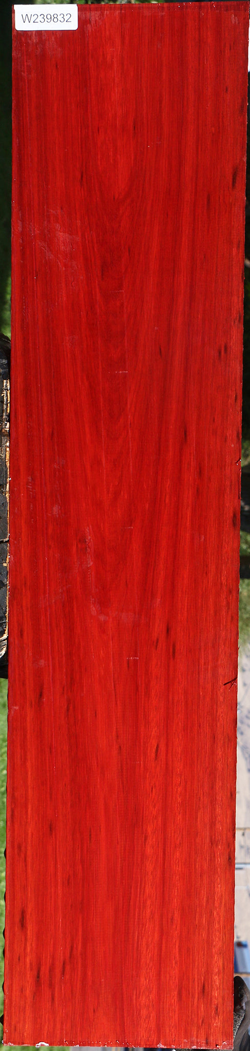 Bloodwood Lumber