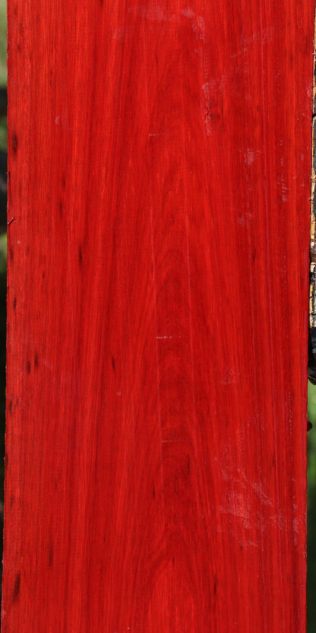 Bloodwood Lumber
