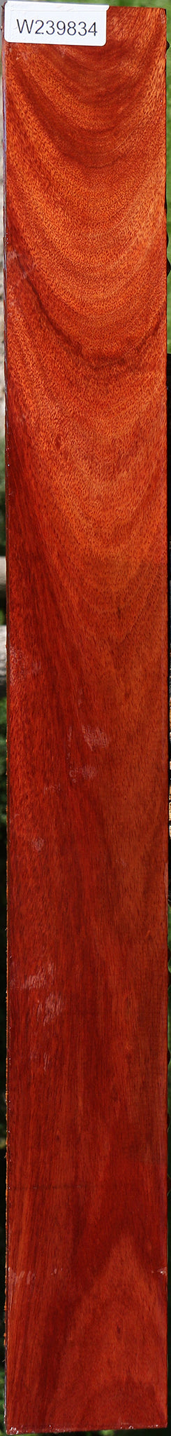 Figured Bloodwood Lumber
