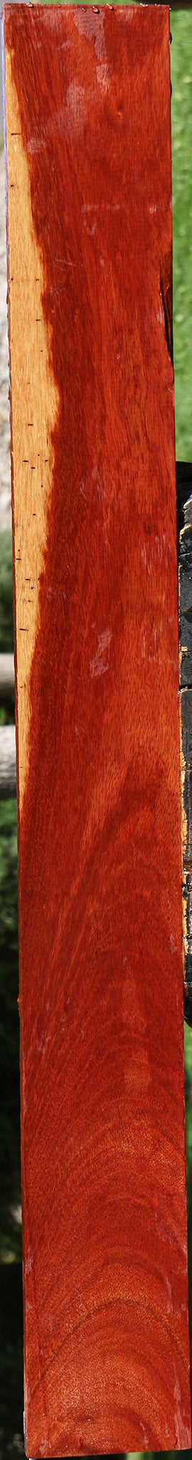 Figured Bloodwood Lumber
