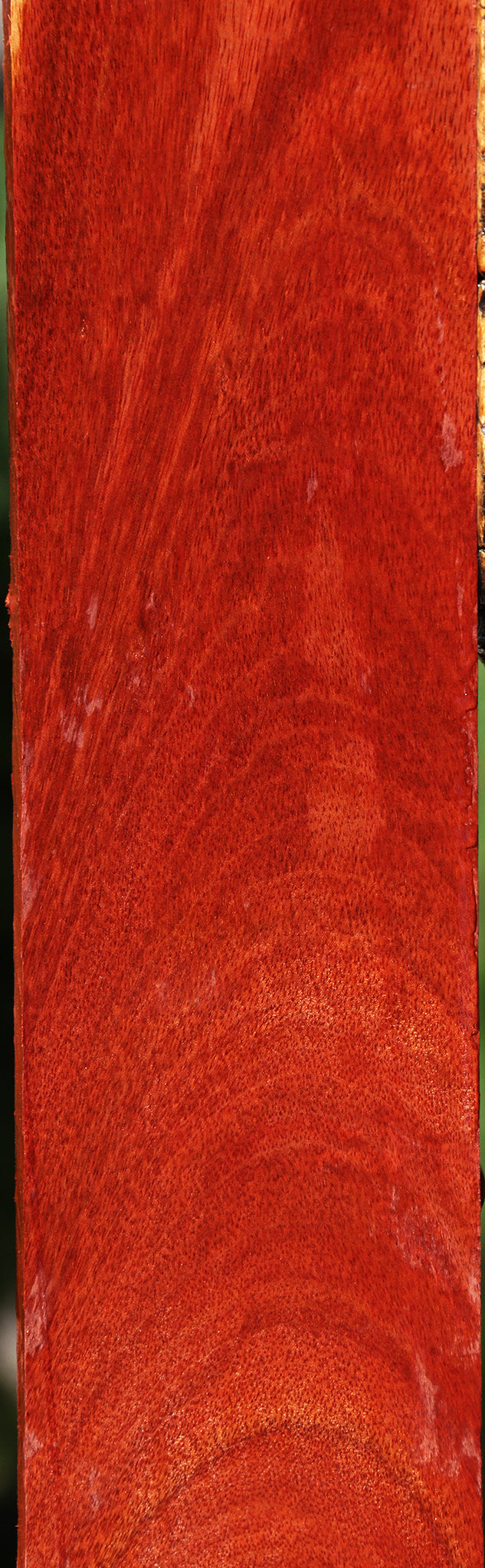 Figured Bloodwood Lumber