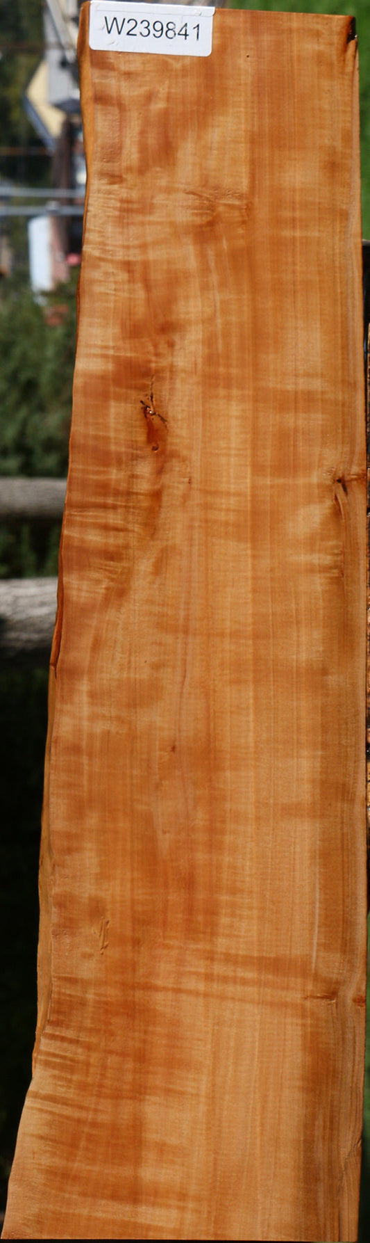 Extra Fancy Swiss Pear Live Edge Lumber