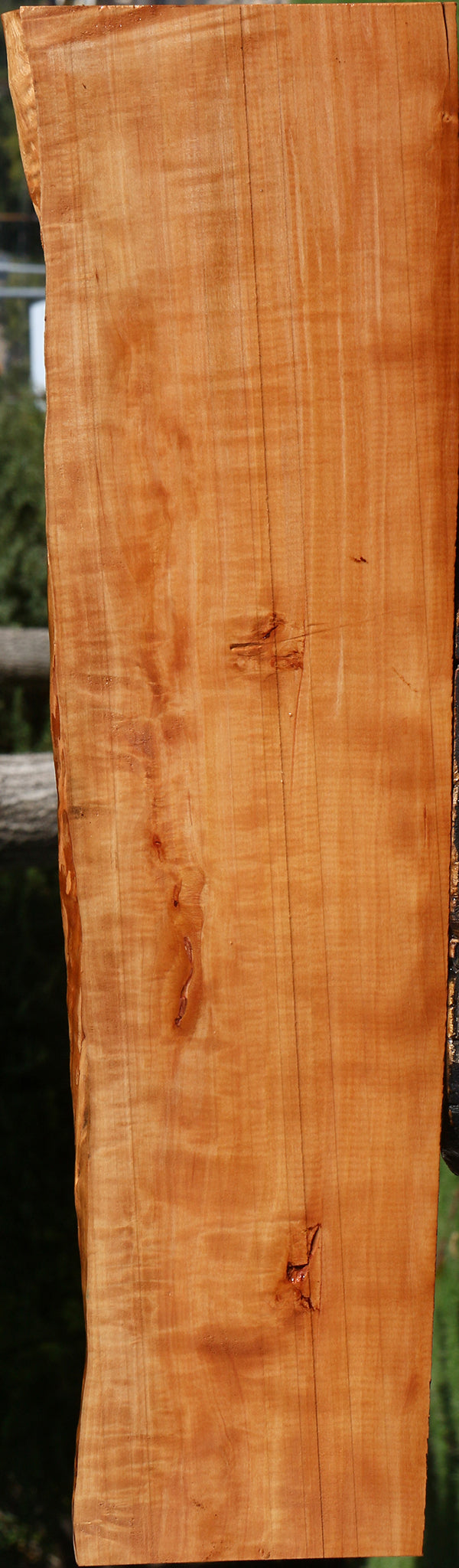 Extra Fancy Swiss Pear Live Edge Lumber