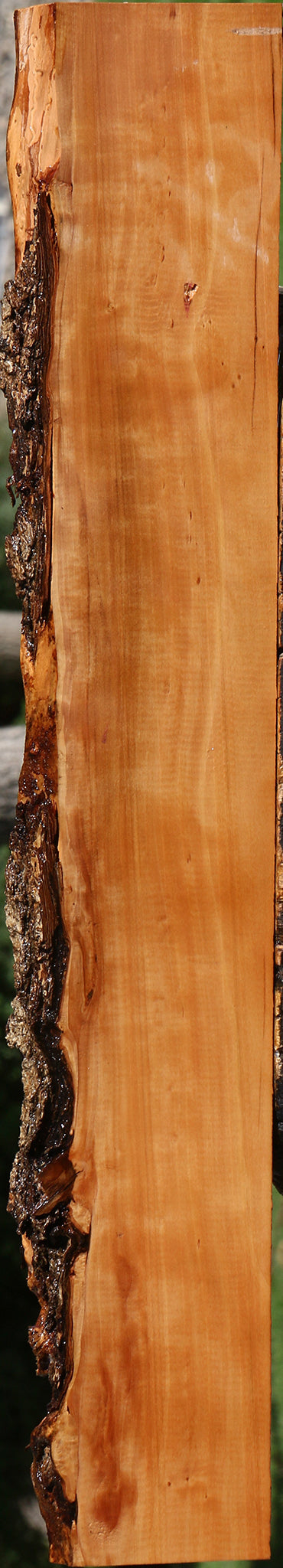 Figured Swiss Pear Live Edge Lumber