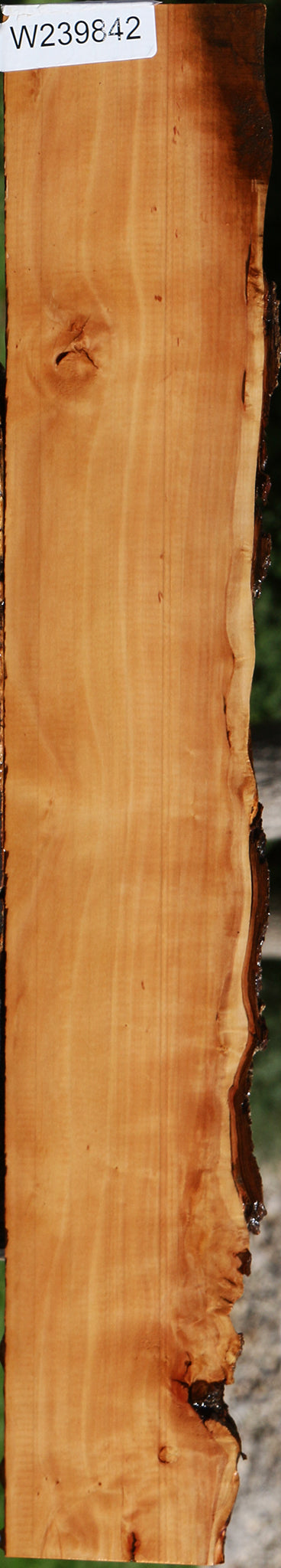 Figured Swiss Pear Live Edge Lumber