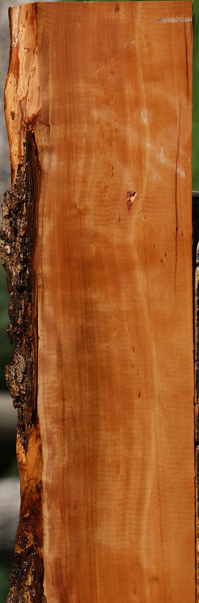 Figured Swiss Pear Live Edge Lumber