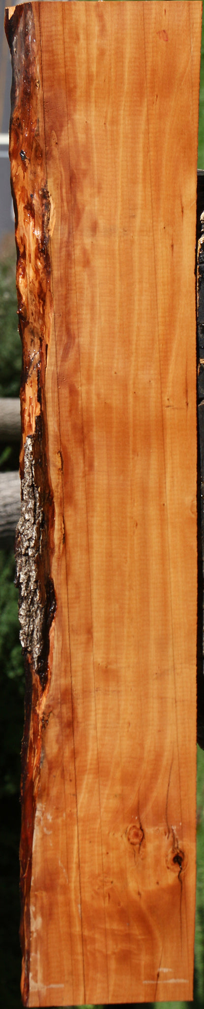 Figured Swiss Pear Live Edge Lumber