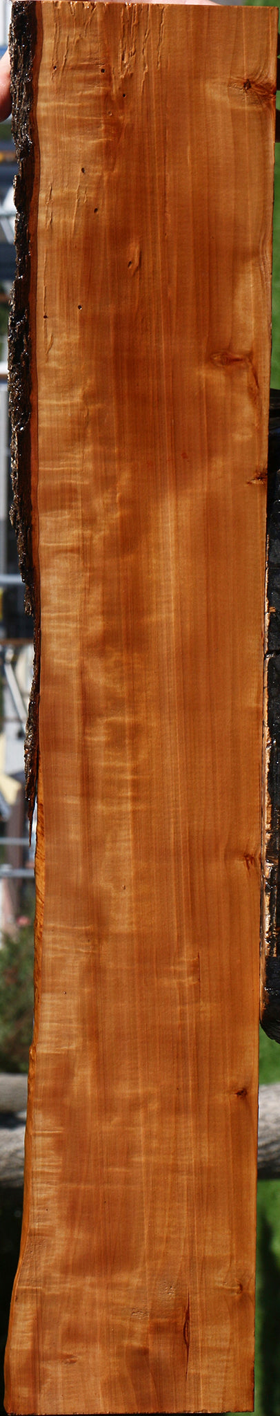 Extra Fancy Swiss Pear Live Edge Lumber