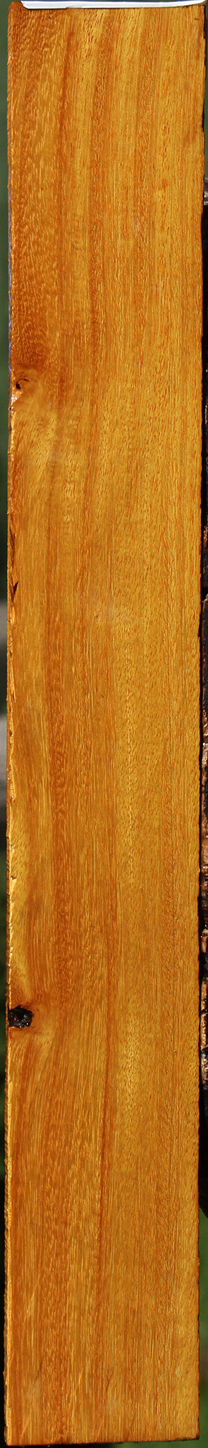 Argentine Osage Orange Micro Lumber
