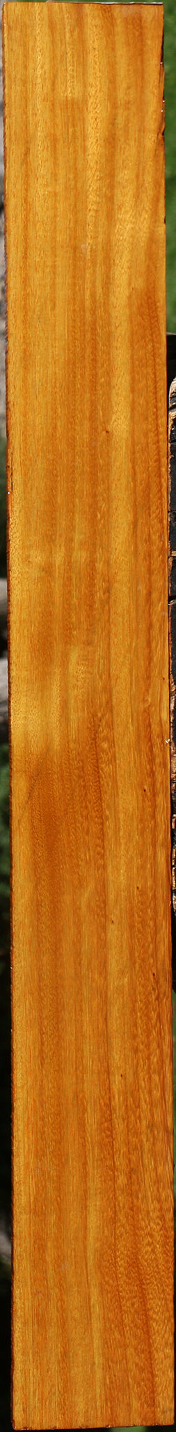 Figured Argentine Osage Orange Lumber