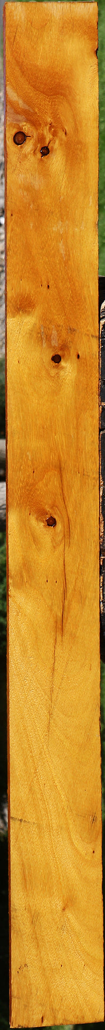 Rustic Argentine Osage Orange Lumber