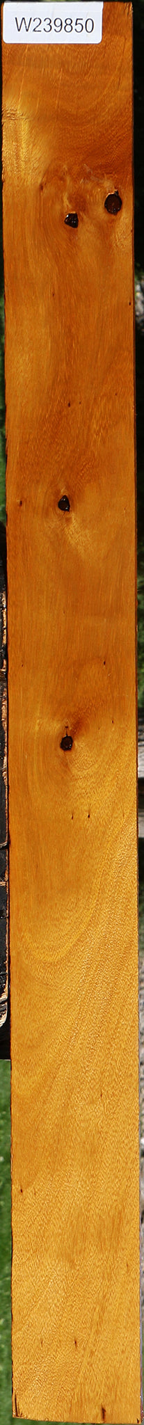 Rustic Argentine Osage Orange Lumber