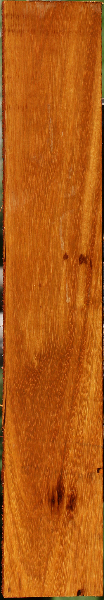 Argentine Osage Orange Lumber