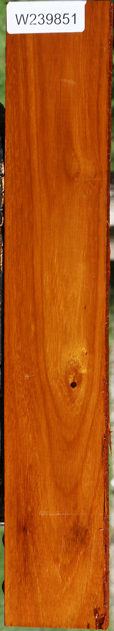 Argentine Osage Orange Lumber