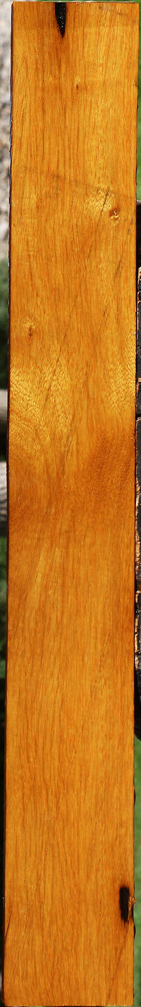 Argentine Osage Orange Lumber