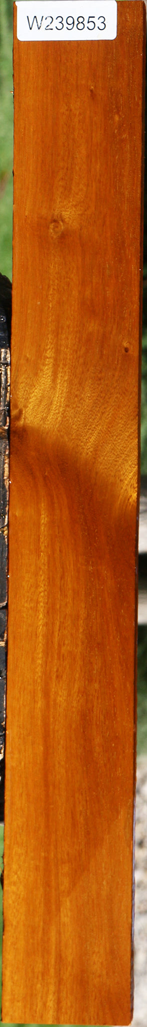 Argentine Osage Orange Lumber