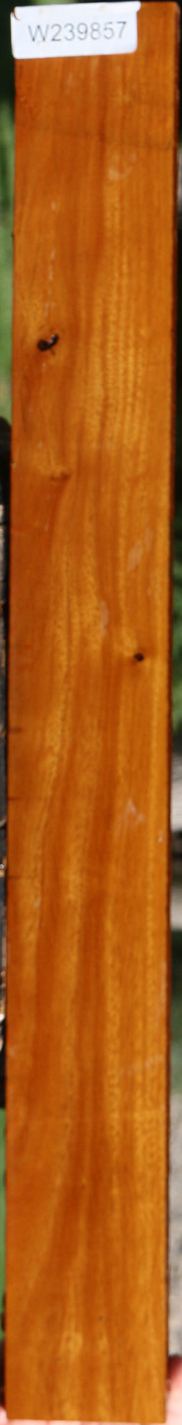 Argentine Osage Orange Micro Lumber