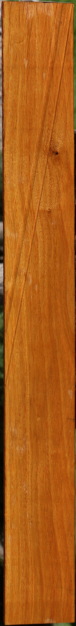 Argentine Osage Orange Micro Lumber