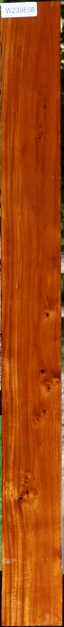 Argentine Osage Orange Lumber