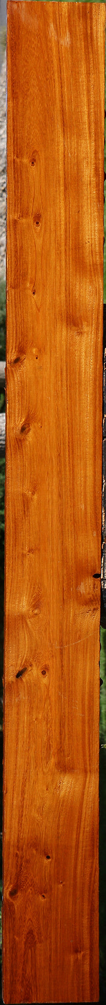 Argentine Osage Orange Lumber