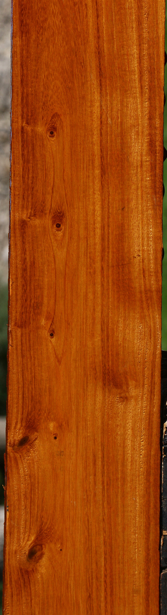 Argentine Osage Orange Lumber