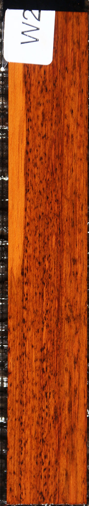 Snakewood Turning Square