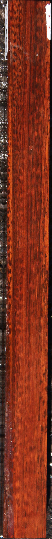 Snakewood Turning Square