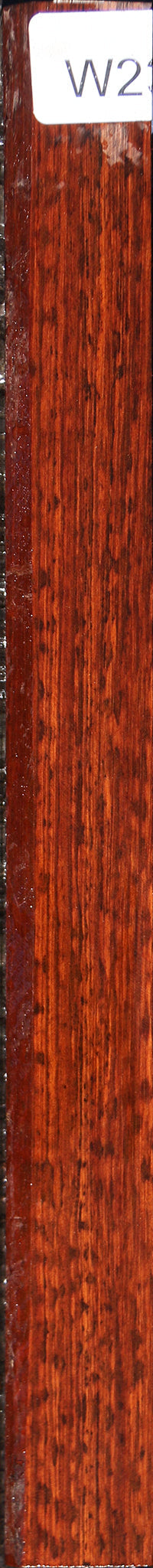 Snakewood Turning Square