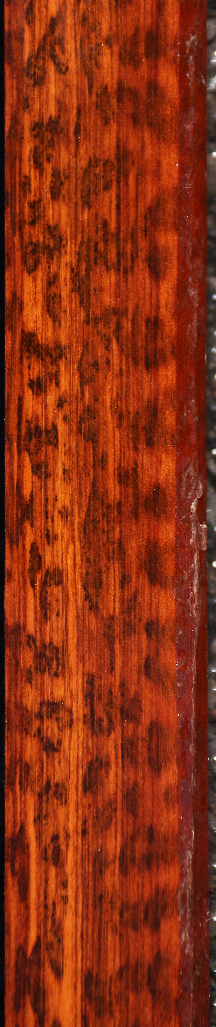 Snakewood Turning Square