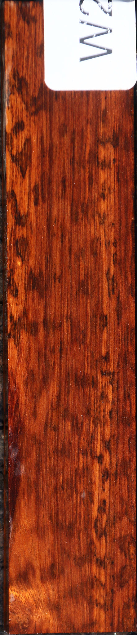 Snakewood – Cook Woods