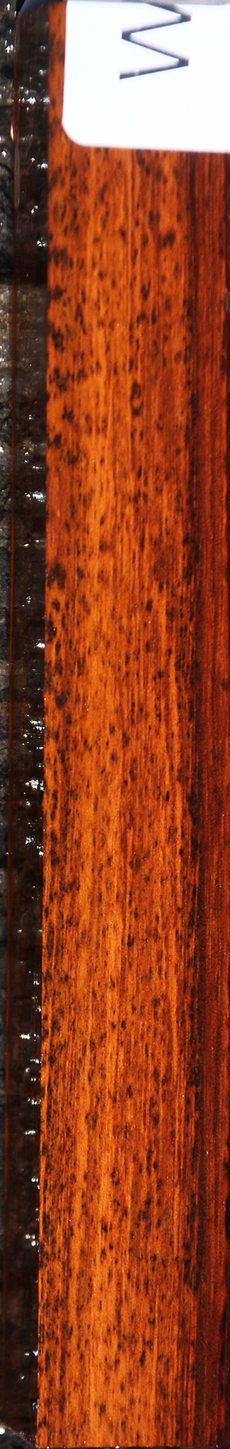 Snakewood Turning Square