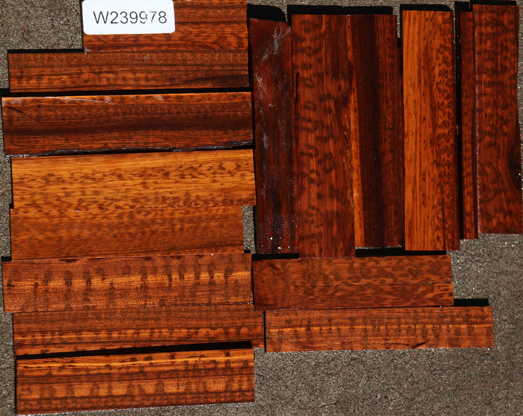 Snakewood – Cook Woods