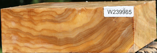 Figured Silver Poplar Bowl Blank