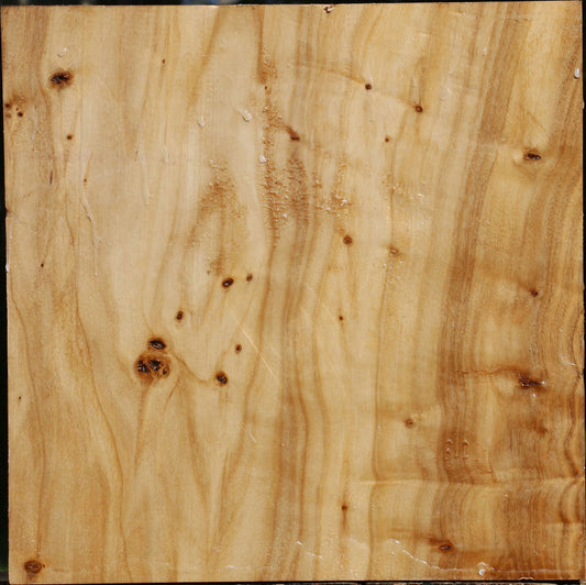 Extra Fancy Silver Poplar Bowl Blank