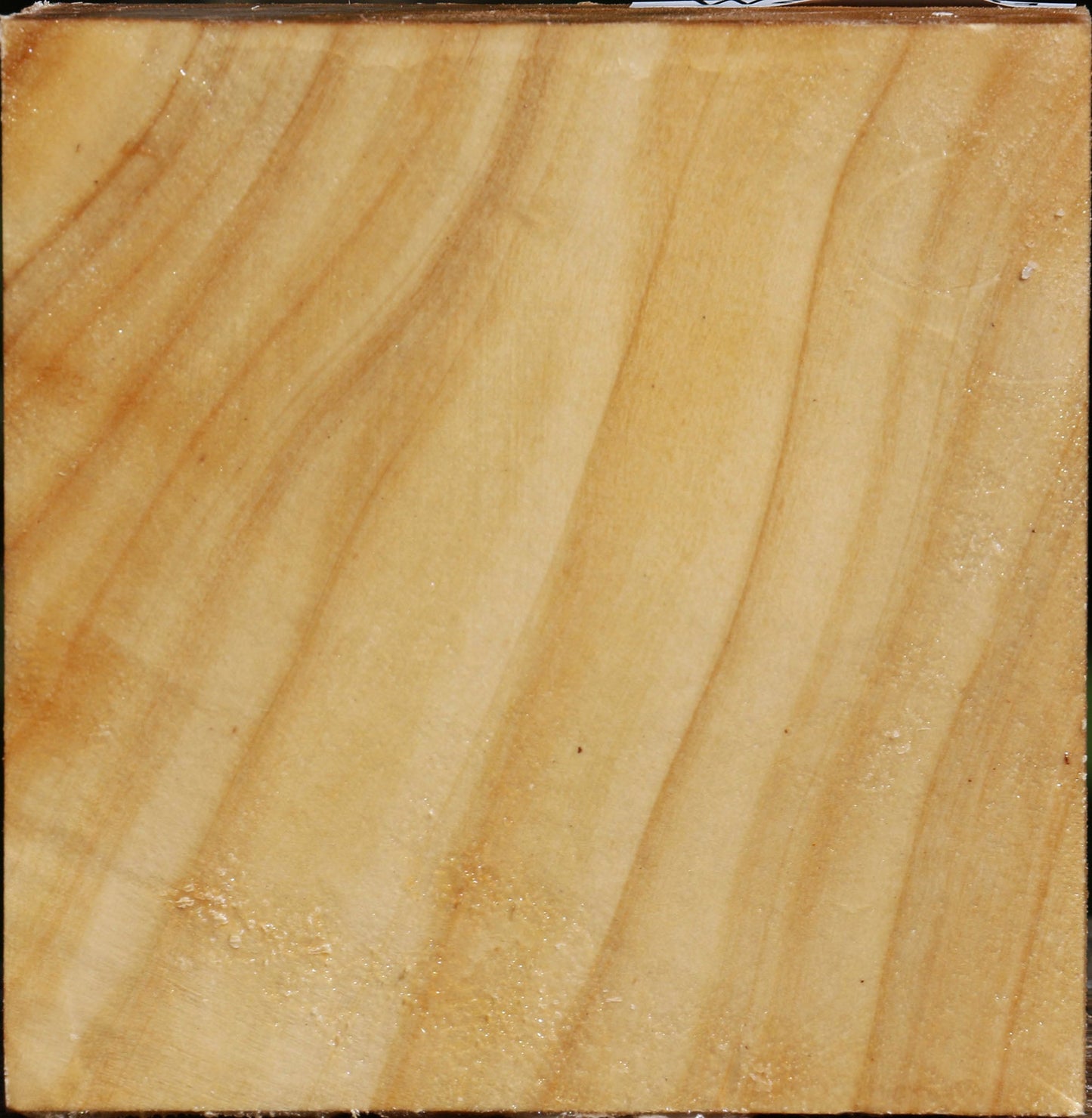 Figured Silver Poplar Bowl Blank