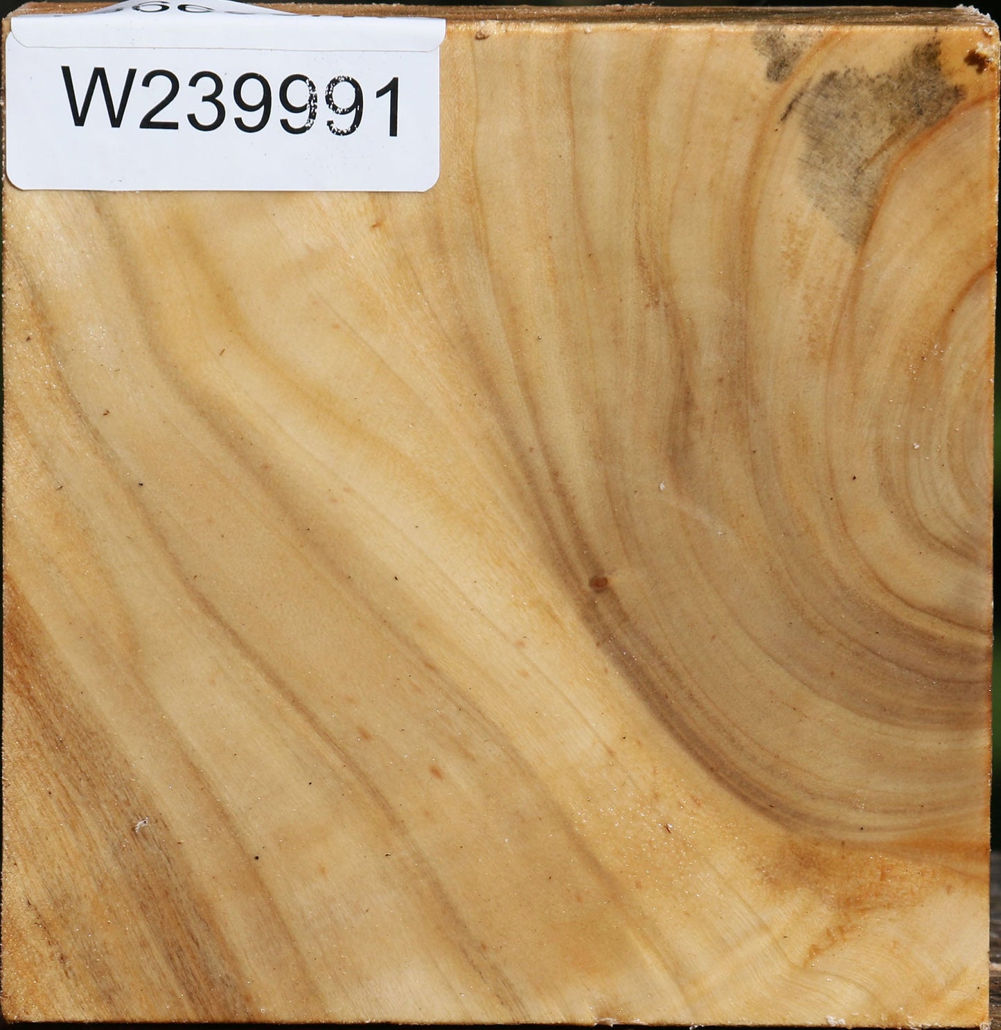 Figured Silver Poplar Bowl Blank