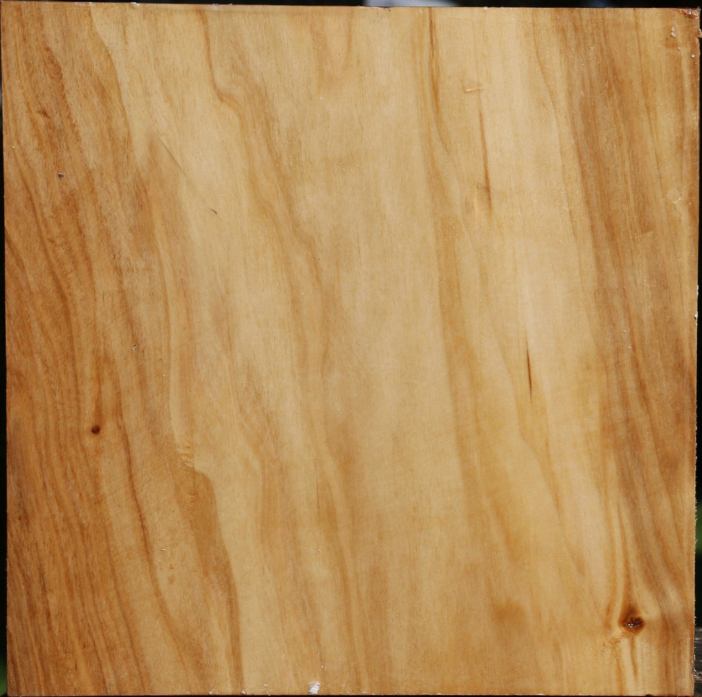 Silver Poplar Bowl Blank