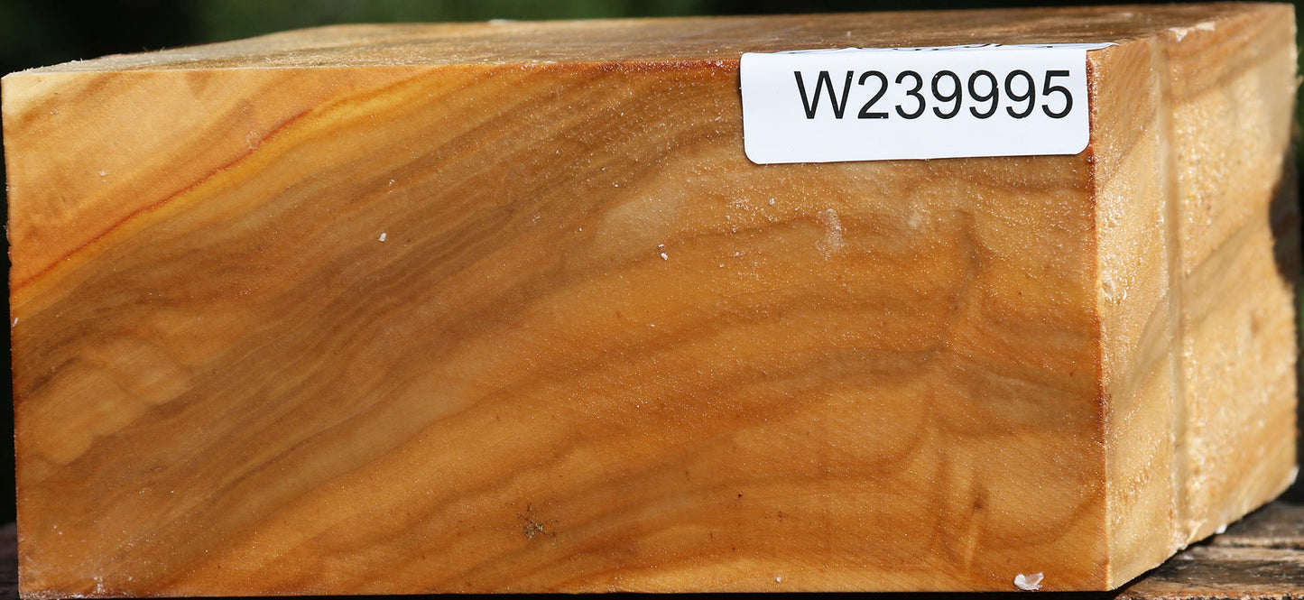 Figured Silver Poplar Bowl Blank