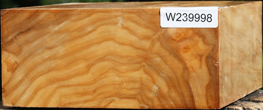 Silver Poplar Bowl Blank