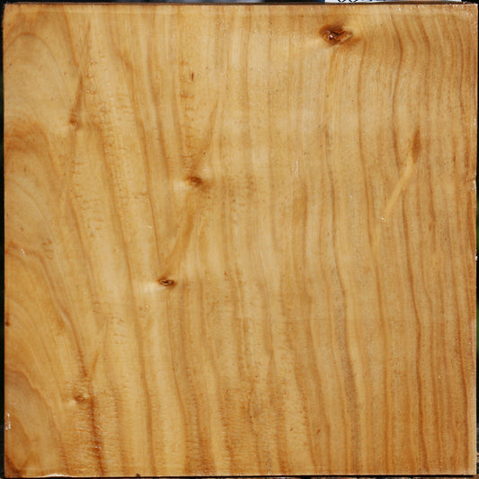 Silver Poplar Bowl Blank