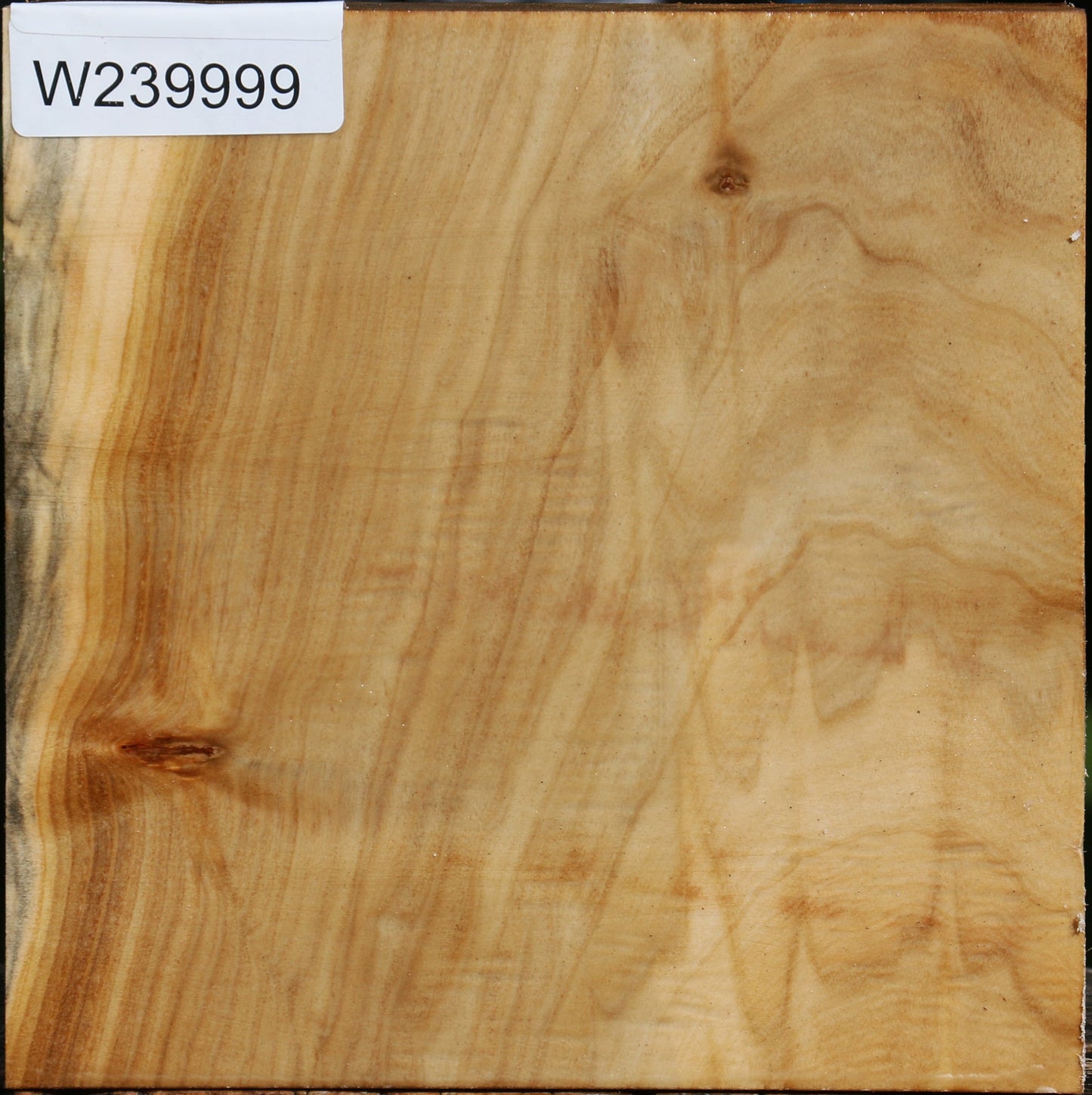 Silver Poplar Bowl Blank