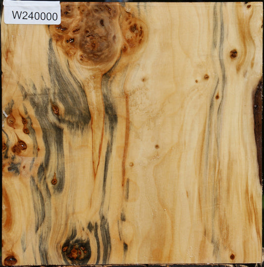 Figured Silver Poplar Bowl Blank