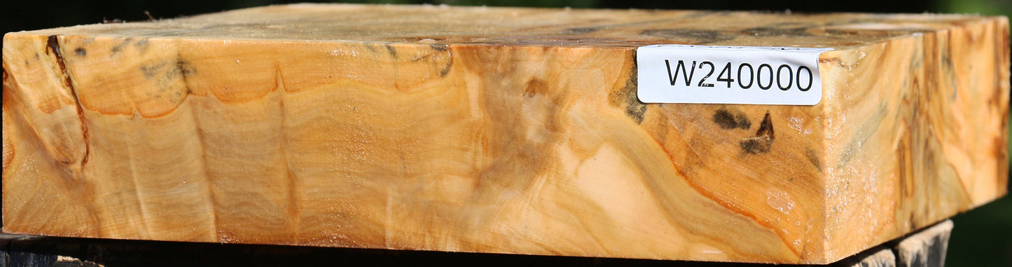 Figured Silver Poplar Bowl Blank