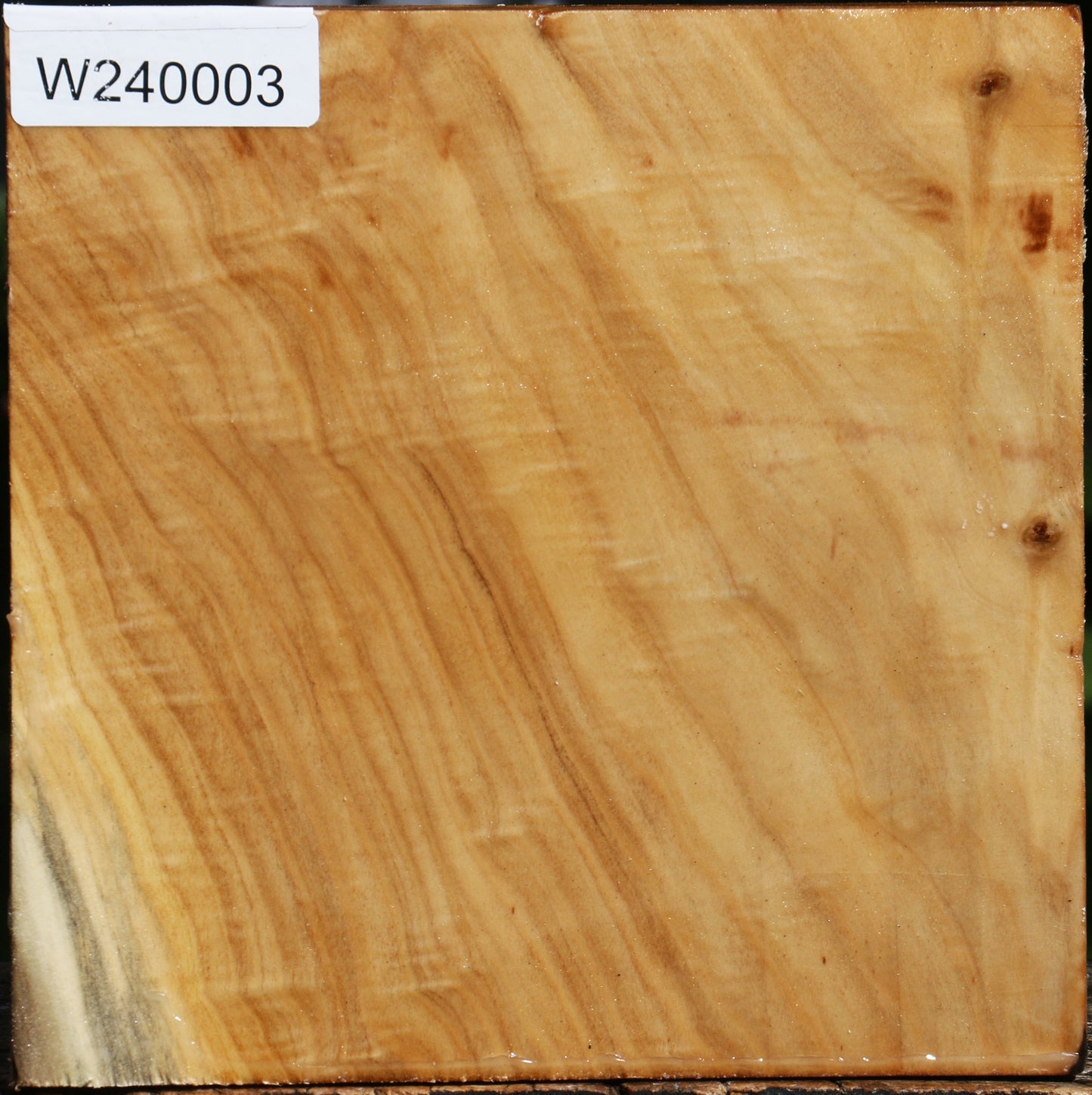 Figured Silver Poplar Bowl Blank