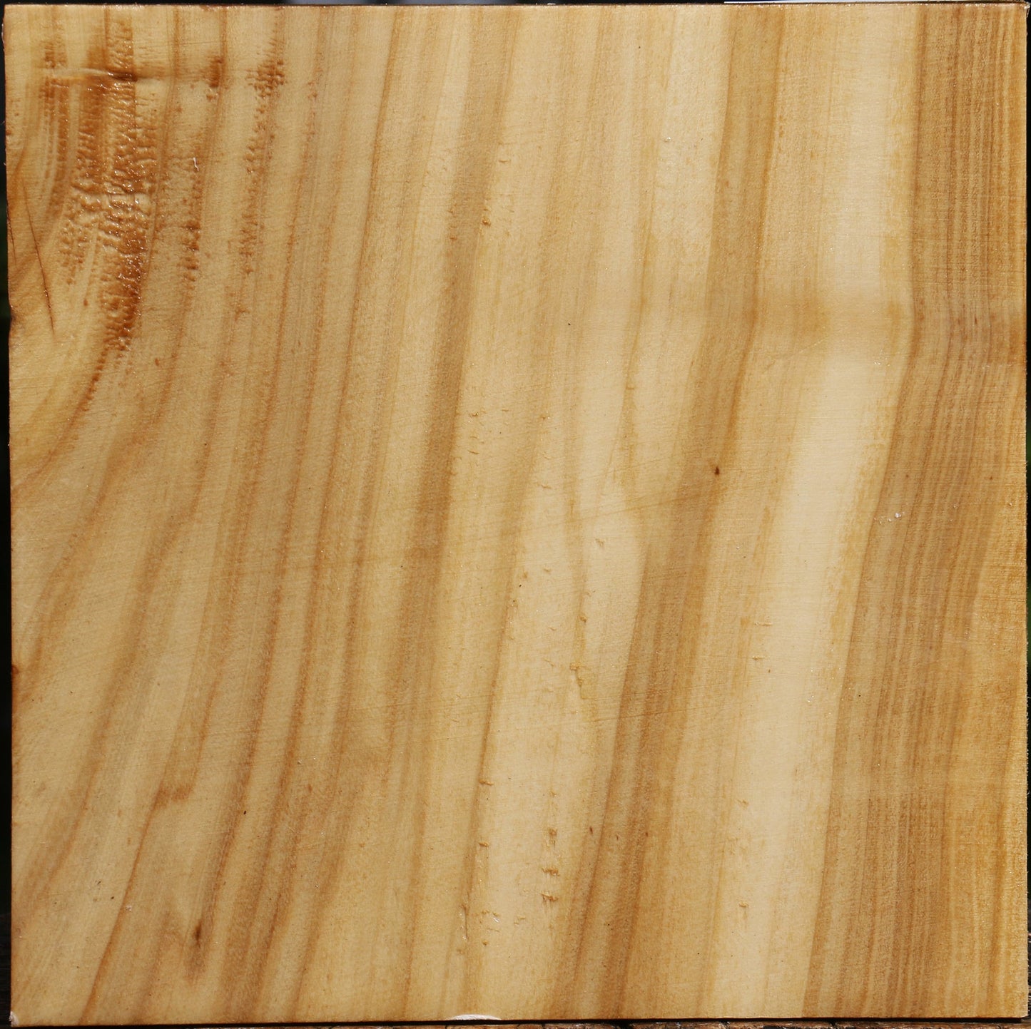 Figured Silver Poplar Bowl Blank