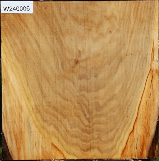 Silver Poplar Bowl Blank