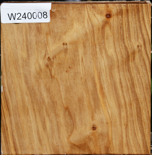 Silver Poplar Bowl Blank