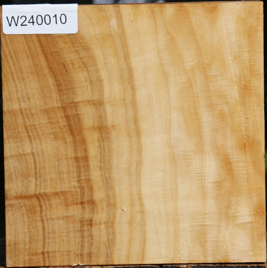 Figured Silver Poplar Bowl Blank